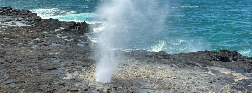 Sandi Molder l Hope to Happiness LLC